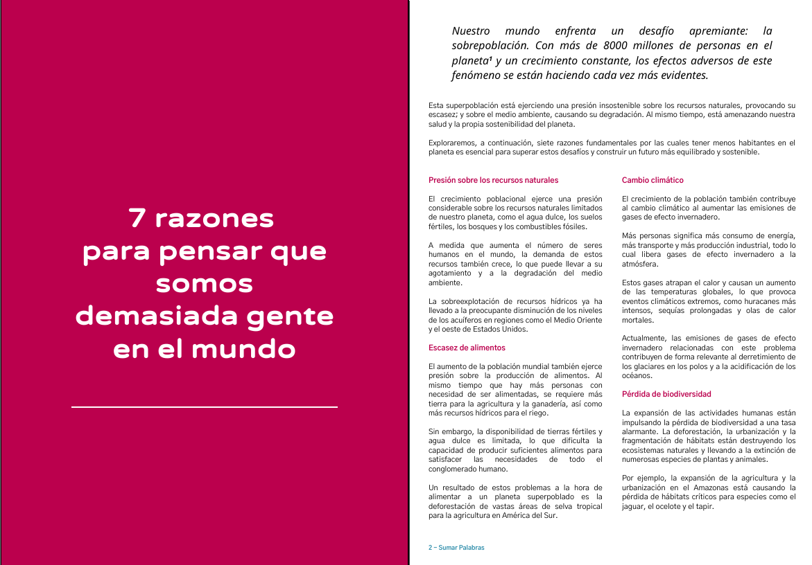 Ejemplo de artículo